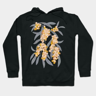 Acacia retinoides plant Hoodie